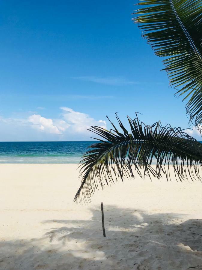 Luxury 5Th Avenue Menesse 32 Apartment Playa del Carmen Ngoại thất bức ảnh